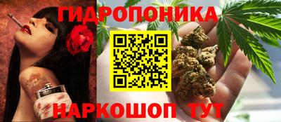 винт Будённовск