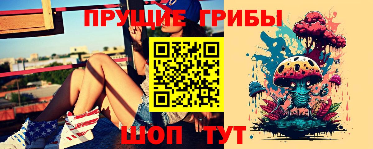 Галлюциногенные грибы мицелий  Вход с VPN  Галлюциногенные грибы Psilocybine cubensis  Саранск 
