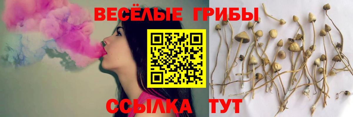 Галлюциногенные грибы GOLDEN TEACHER Саранск